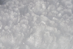 19_snow_crystals_1