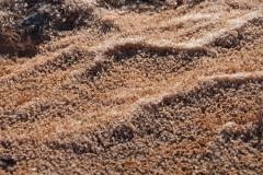 24_sand_snow_2