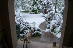 Snowday-May2017-1A