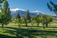 panorama-orchard-May2017-1A